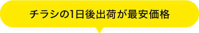 チラシの1日後出荷が最安価格